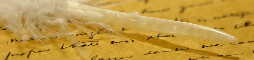 02 image